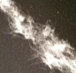 ΙΝΕΣ ΒΑΜΒΑΚΙΟΥ COTTON FIBERS