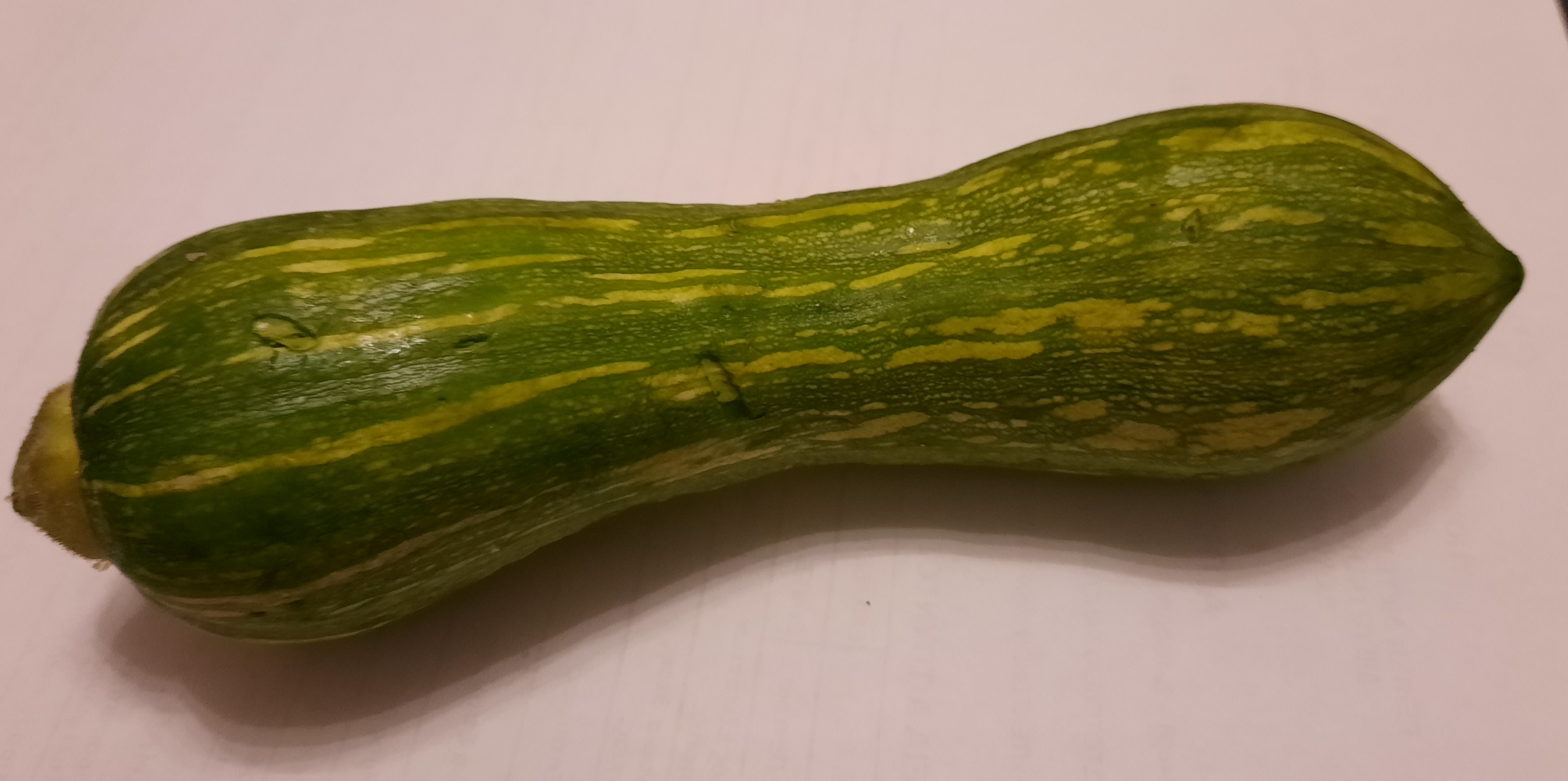 κολοκύθι (2)